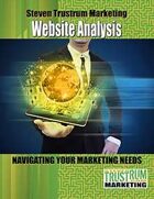 Publisher or Talent Website Analysis Report