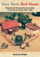 Grey Steel, Red Storm - Regimental Scenarios in the Soviet Union 1941-1943
