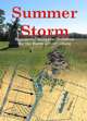 Summer Storm: Regimental Wargame Scenarios For the Battle of Gettysburg