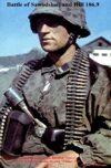 Battle of Sawodskoij and Hill 186.9 – Estonian Panzergrenadier Battalion “Narwa” with 5th Waffen SS Panzergrenadier Division “Wiking” 1943