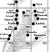 Campaign map for Ancient Assyria